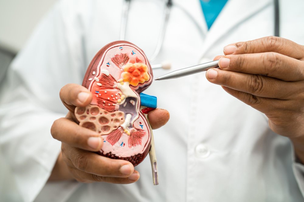 Nephrology