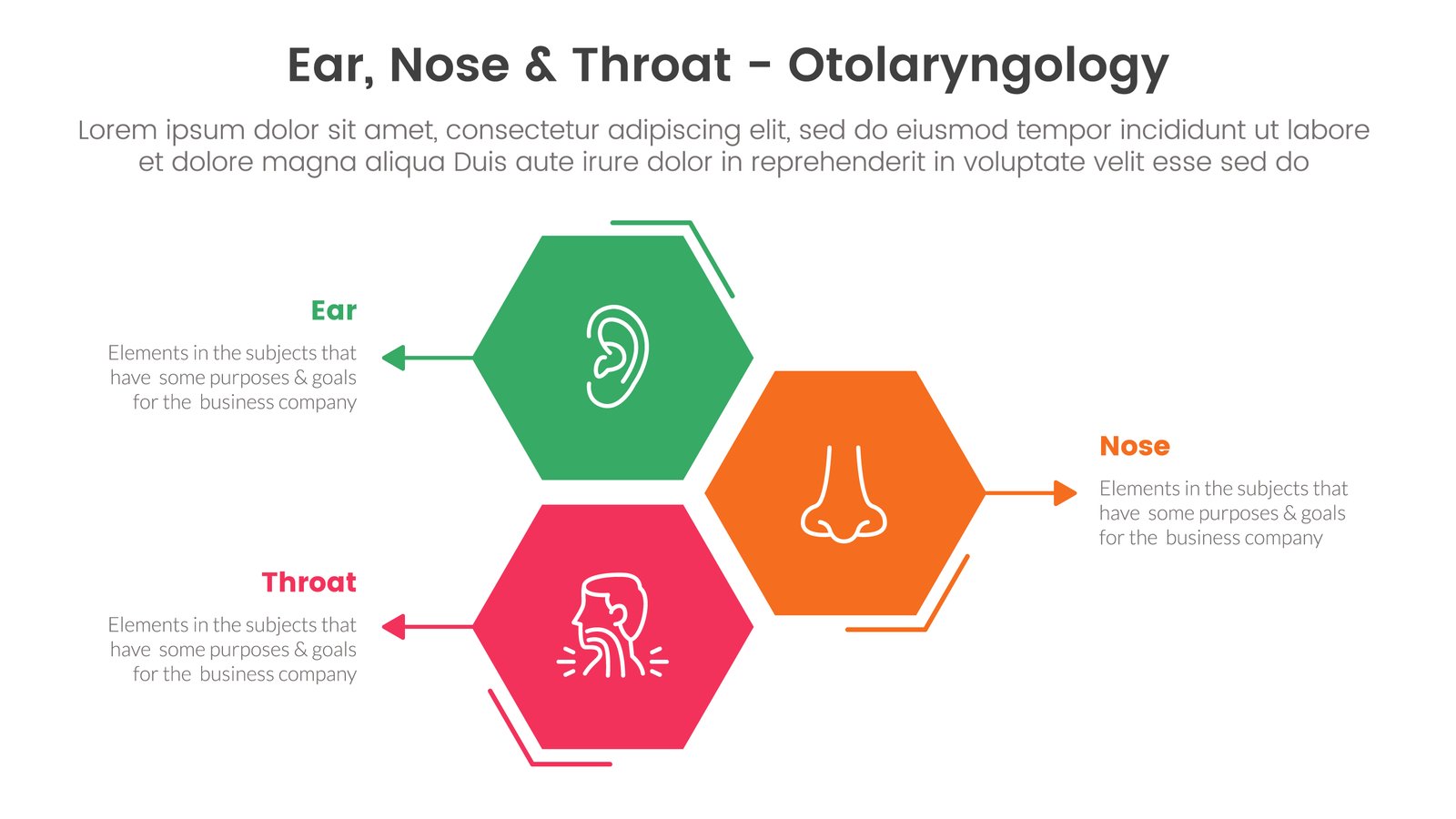 ENT (Ear, Nose & Throat)