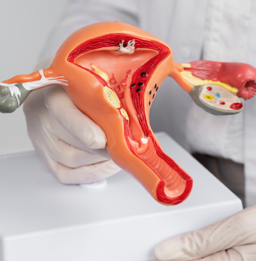 Obstetrics & Gynaecology